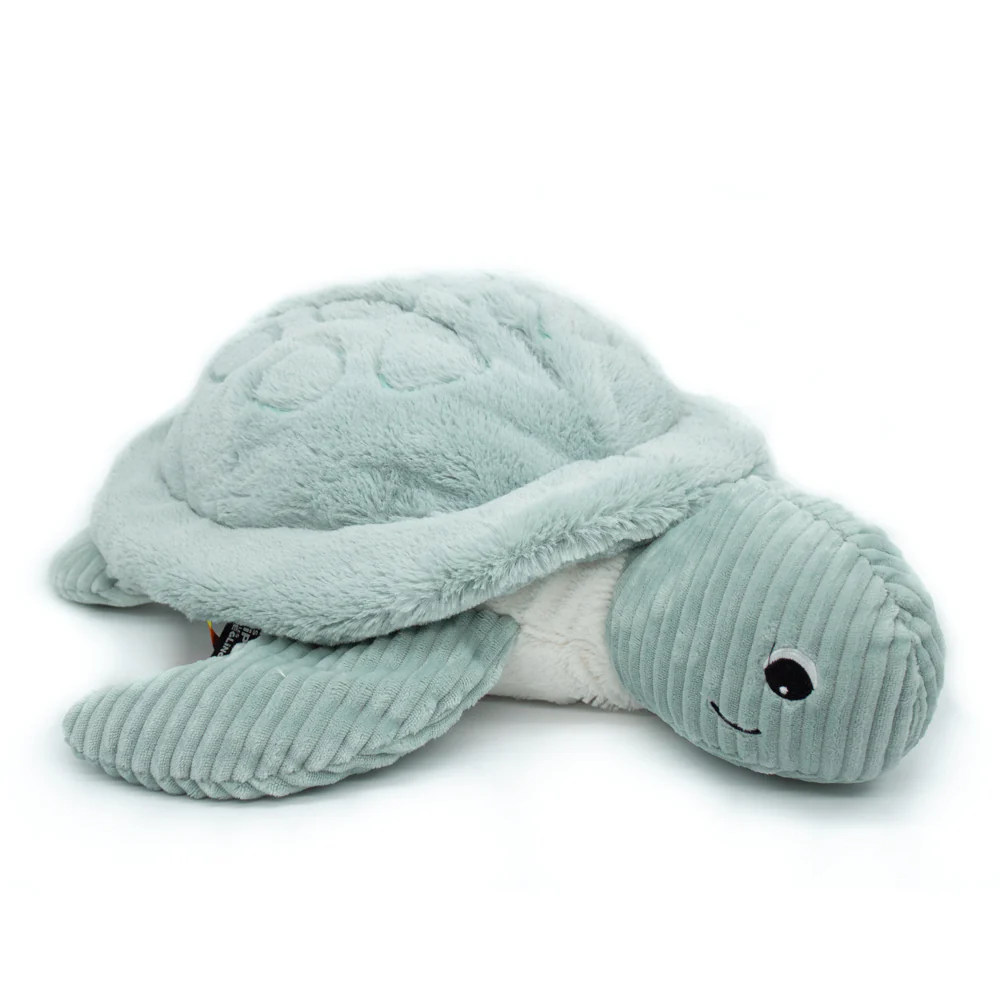 Tilly The Giant Turtle Mint
