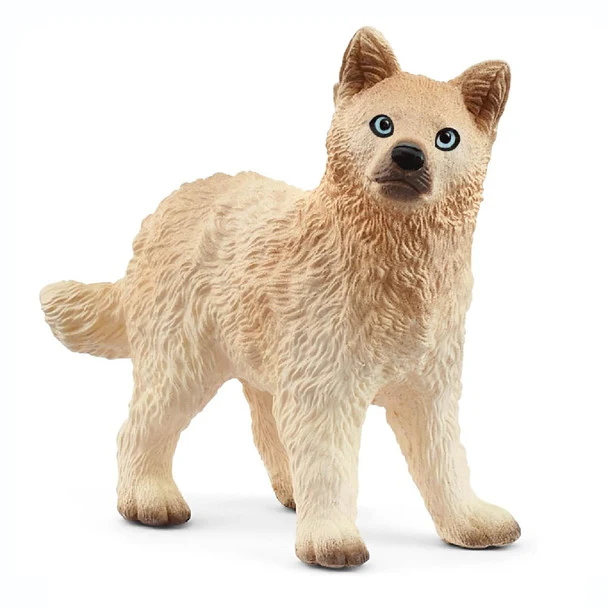 Arctic Wolf cub