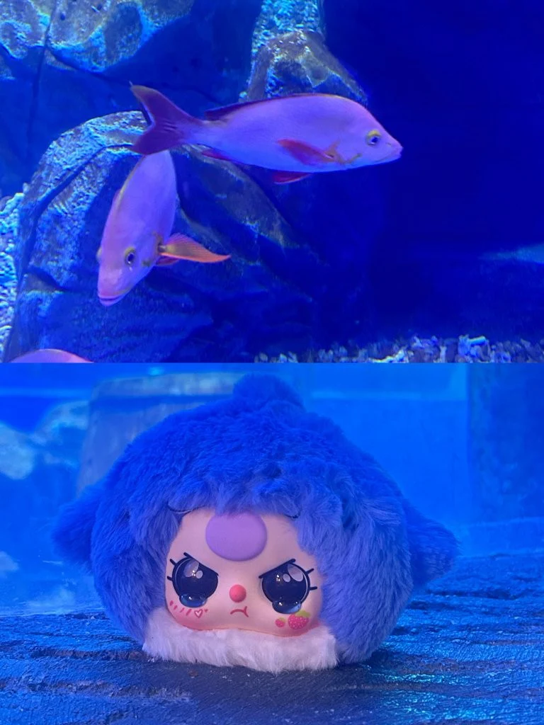 Baby Three - Romantic Ocean - Image 8