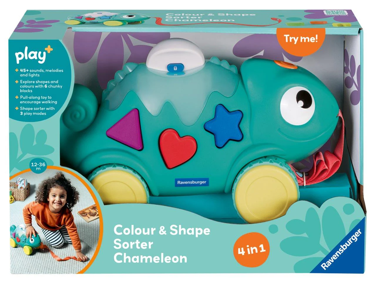 Colour and Shape Sorter Chameleon