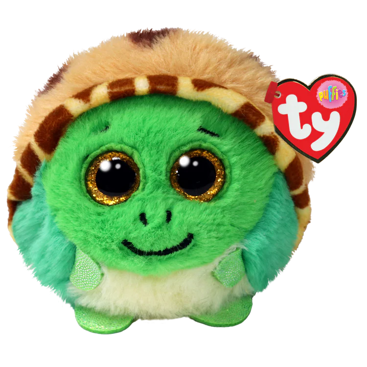 Cruiser Turtle