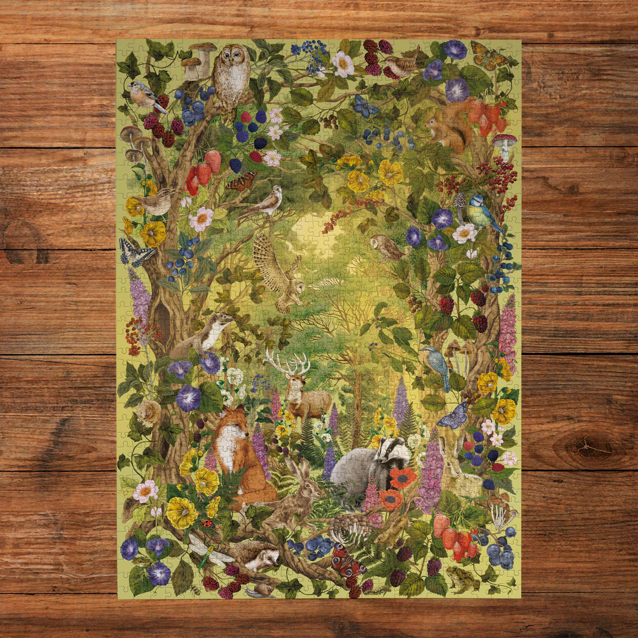 Gibsons The Art File: Sunlight Glade 1000 piece Jigsaw Puzzle - Image 3