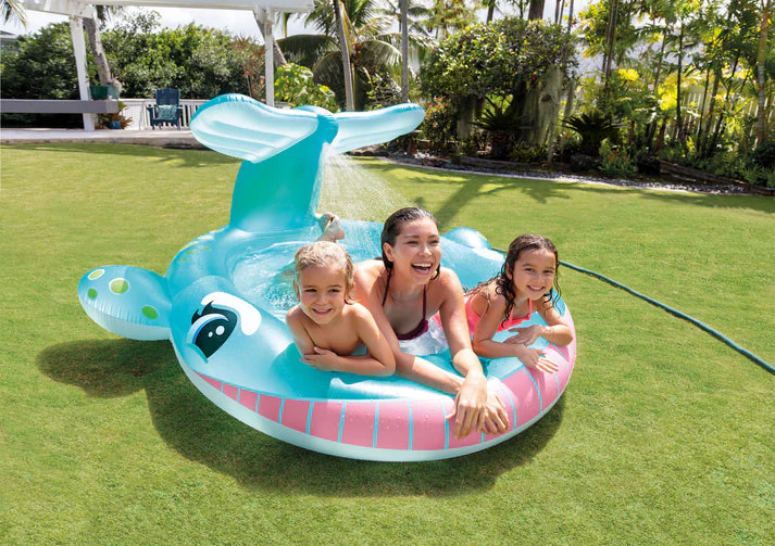Intex Whale Spray Pool - Image 2