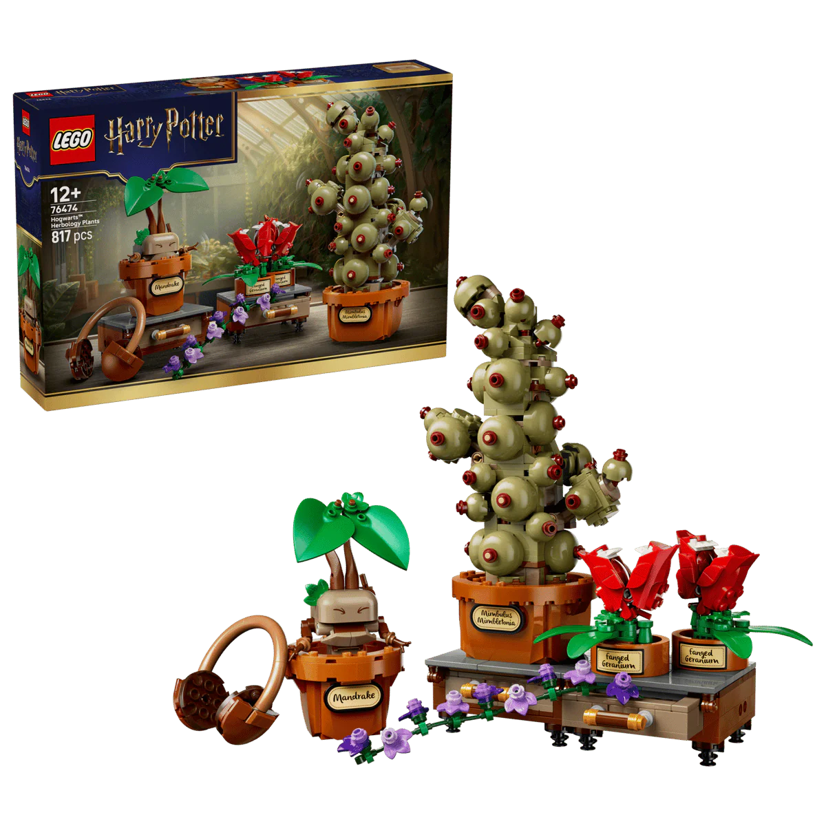 LEGO Harry Potter Hogwarts Castle Herbology Class Building Set 76474