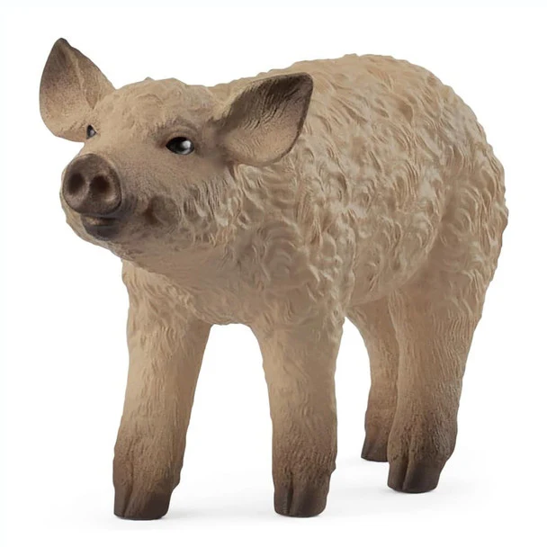 Mangalica Piglet