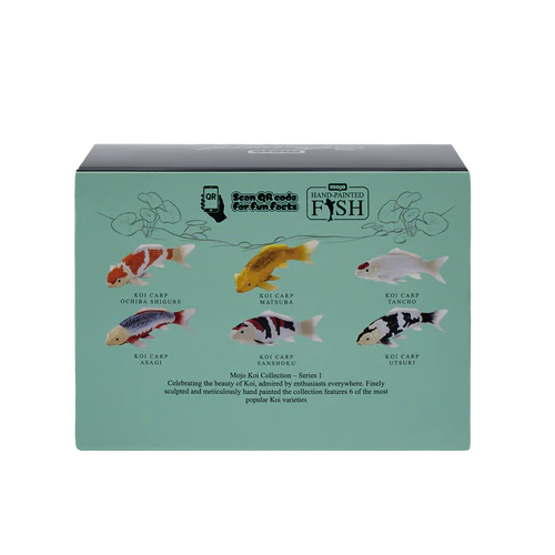 Mojo Asagi Koi Carp - Image 4