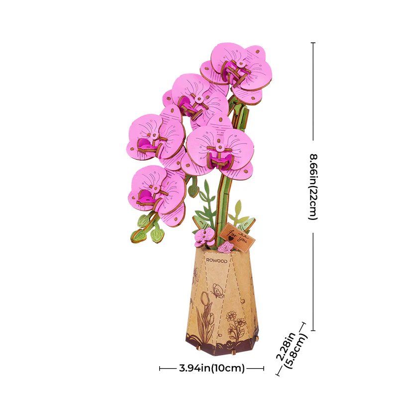 Purple Moth Orchid - Image 4
