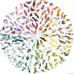 Ravensburger Bird Colour Wheel 500 Piece Jigsaw Puzzle - Image 2