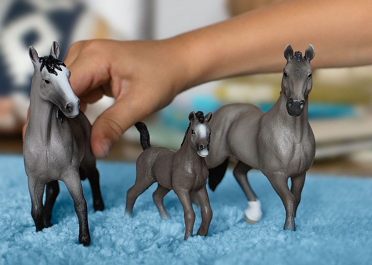 Cheval de Selle Francais Stallion - Image 2